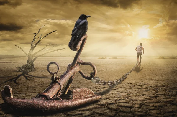 Yargıç satranç Turnuvası