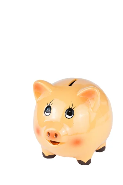 Porcelain piggy bank — Stock Photo, Image