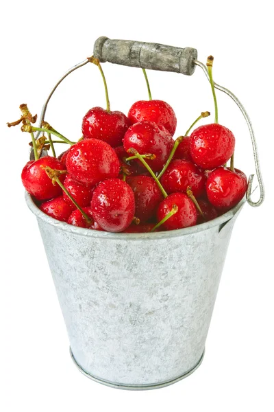 Fresh cherries in metal bucket — Stock Photo, Image