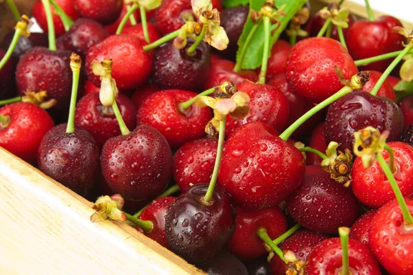 Fresh wet cherries — Stock Photo, Image