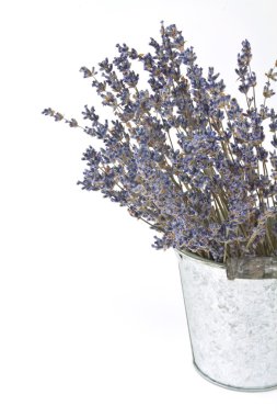 Kurutulmuş lavanta dal