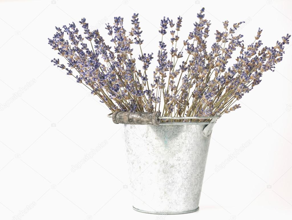 Dried lavender sprigs Stock Photo by ©kocetoilief 119583194