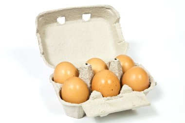 Aile çiftliği yumurta