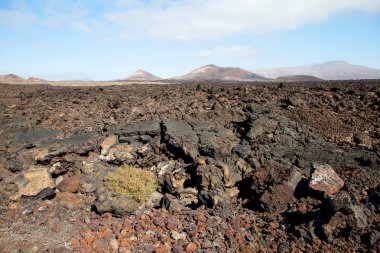 Lanzarote, canarinha dağ ada İspanya