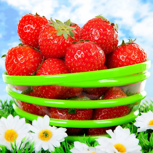 Bowl with fresh strawberries on grass — Stock Photo, Image