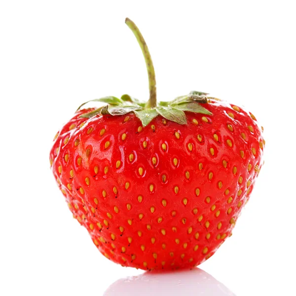 One fresh strawberry standing — Stock Photo, Image