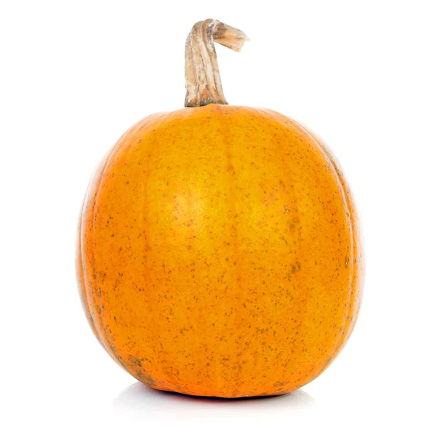 Una calabaza amarilla en primer plano — Foto de Stock