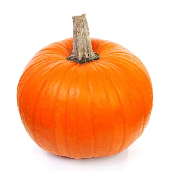 Grande zucca arancione — Foto Stock