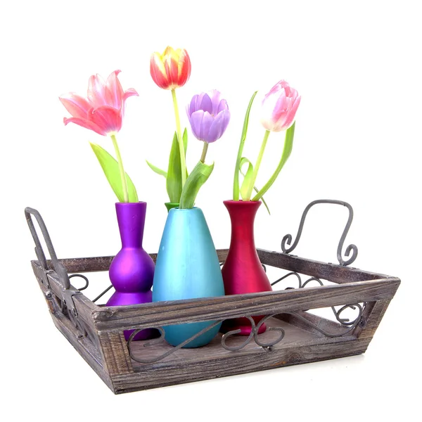 Színes vázák a tálca holland tulipán — Stock Fotó