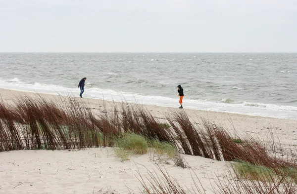 Une vue sur la plage — Photo