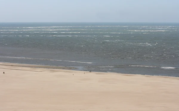 Longue plage de sable solitaire — Photo