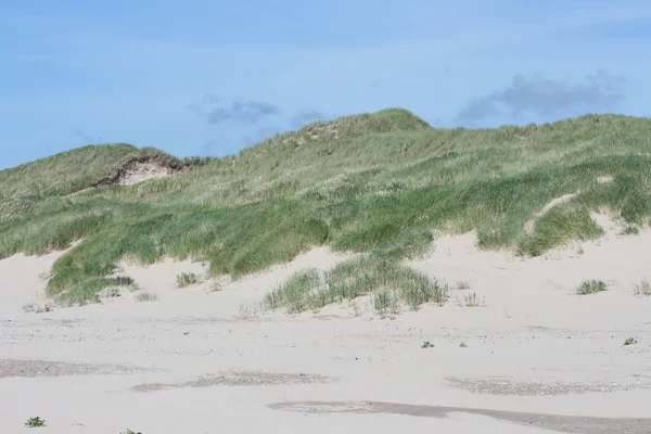 Dunes on the North Sea — Stock Photo, Image