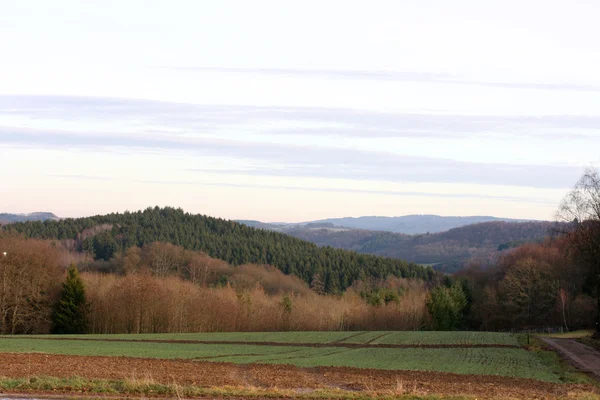 Fält och skogar — Stockfoto