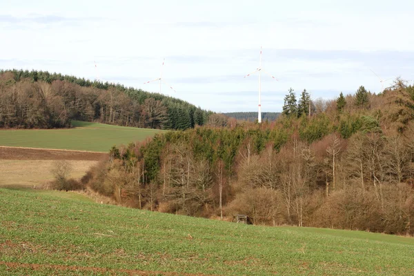 Fält och skogar — Stockfoto