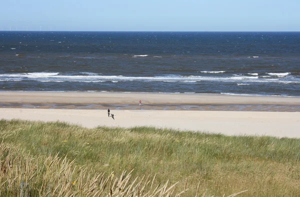 Lonely zand strand — Stockfoto