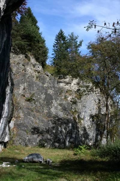 Kayalık bir manzara — Stok fotoğraf