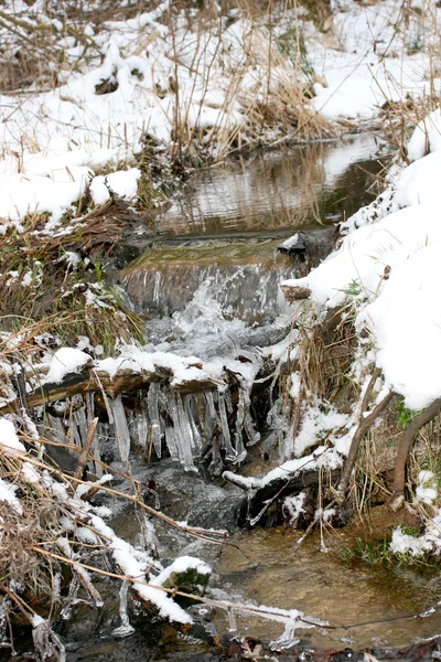 Um riacho de inverno — Fotografia de Stock
