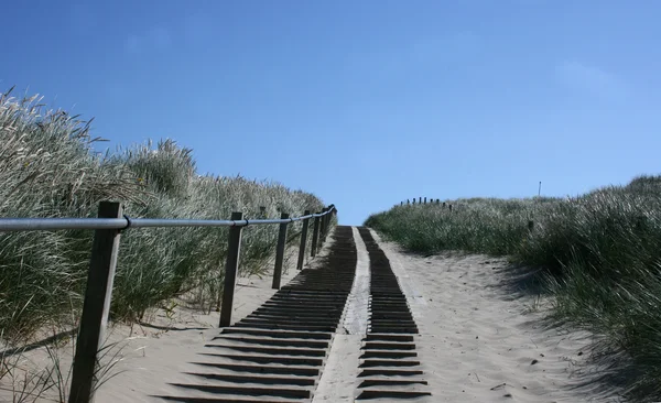 Ścieżka Dune — Zdjęcie stockowe