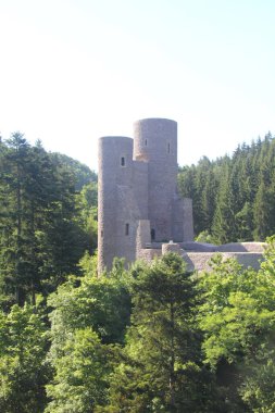 Almanya 'daki Frauenberg Kalesi' nin kalıntıları.
