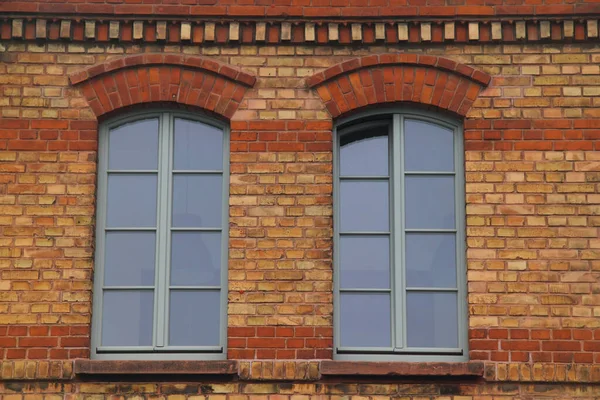 Два Вікна Паростками Клінкерній Стіні Стокова Картинка
