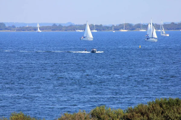 Бруверсгафен Нідерланди Серпня 2015 Північне Море Брауерсдамі — стокове фото