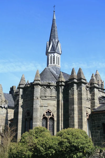 Castelul Leilor Castel Ruinat Construit 1800 — Fotografie, imagine de stoc