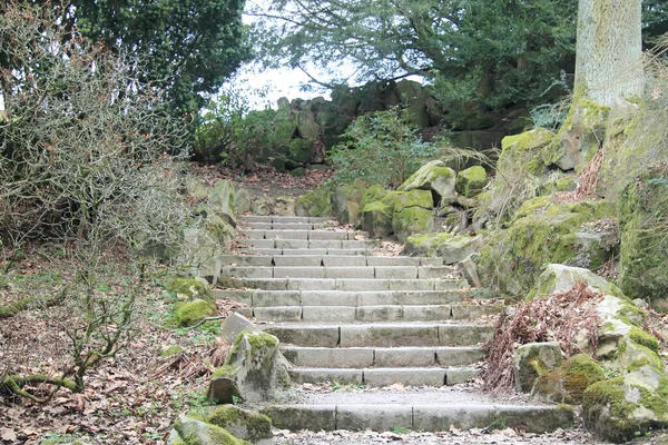 Rustic Stone Stairway Natural Landscape — Stock Photo, Image