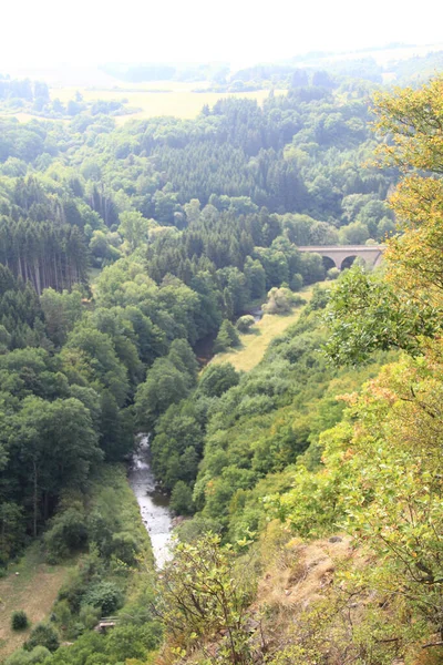 Expansive Mountain Valley Forest River — Stock Photo, Image