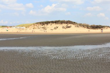 Hollanda, Belçika sınırında Doğa Rezervi (Zwin)