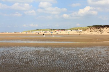 Hollanda, Belçika sınırında Doğa Rezervi (Zwin)