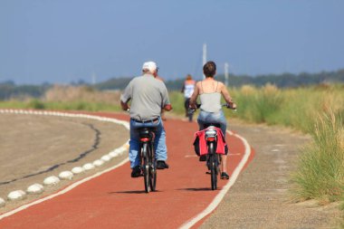 Brouwershaven, Hollanda 22 Ağustos 2015: Bazı bisikletçiler doğada gezinti yapıyor