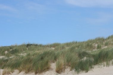 Kumul