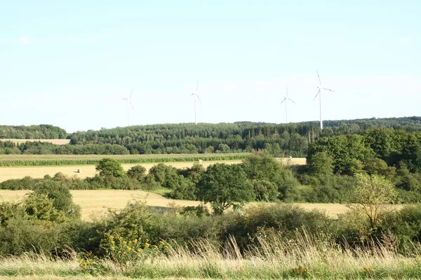 Fields and forest — Stock Photo, Image