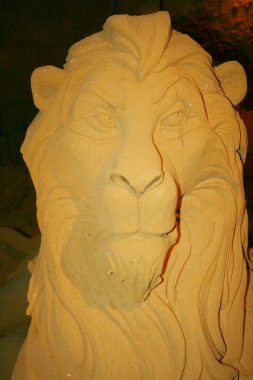 bir aslan heykeli