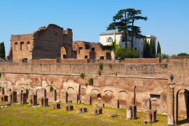 Rome.Italy.The Roma Forumu..