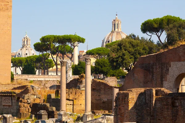 Roma.Itália.O fórum romano .. — Fotografia de Stock