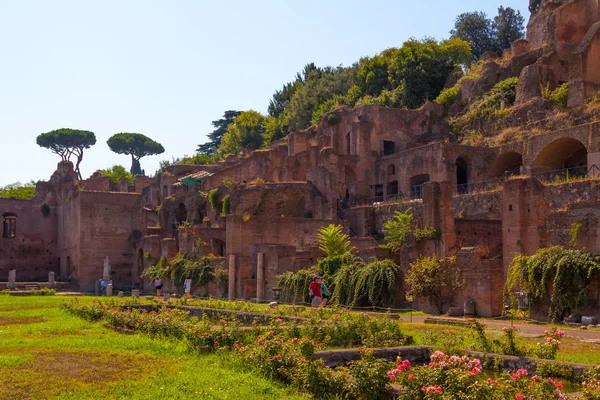 Roma.Itália.O fórum romano .. — Fotografia de Stock