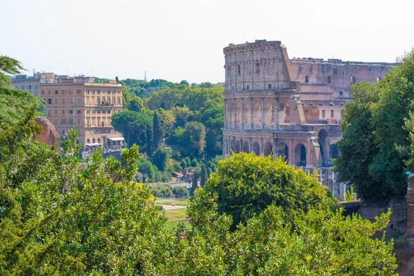 Rome.Italy.The Roman forum.. — Stock Photo, Image