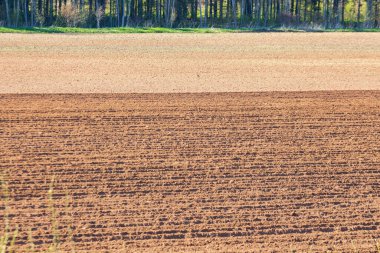Güneşli bir bahar gününde ekilmiş bir tarla.
