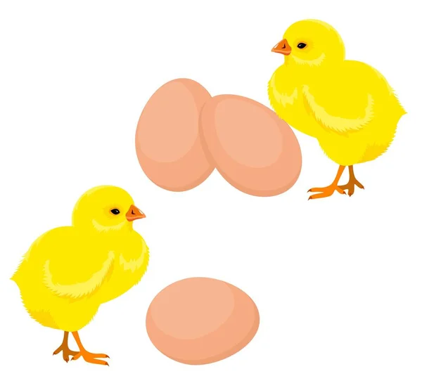 Poulets et œufs. Œufs de Pâques et poulets jaunes — Image vectorielle