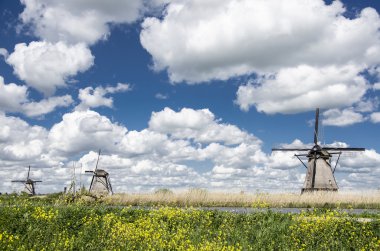İkonik Hollandalı peyzaj