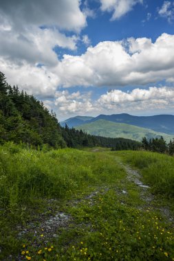 üst mount mansfield Vermont