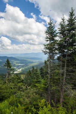 Top of Mount Mansfield in Vermont clipart