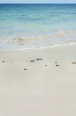 Meksika beyaz kum plaj