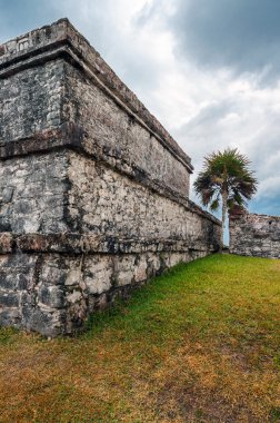 Meksika'da Antik Maya tulum Harabeleri
