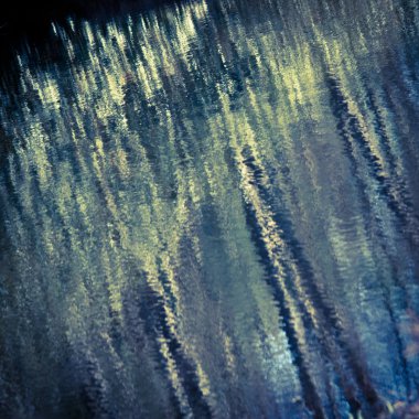 Sudaki ağaçların yansıması