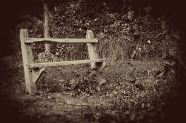 boş park bankında ortasında ağaçlar ve yaprakları