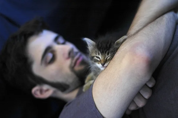 Man with maine coon kitten — Stock Photo, Image