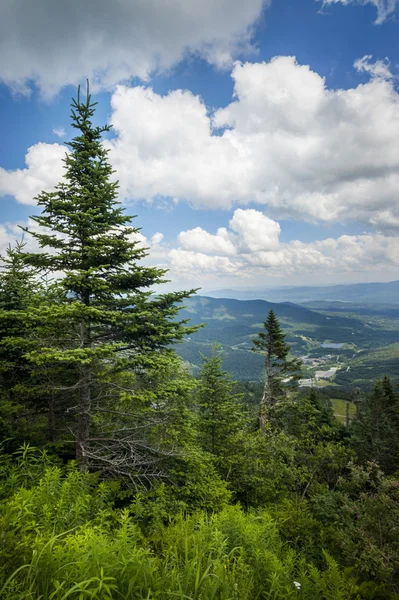 Toppen av mount mansfield i vermont — Stockfoto