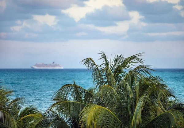 Palmboom op de voorgrond met cruise schip — Stockfoto